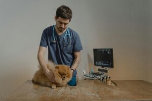 Will it be cruel to Neuter a dog