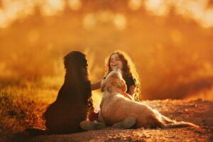 Why are Some Golden Retrievers More Fluffy